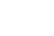 Fever Dream