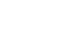 Fever Dream